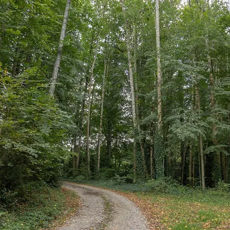 Дом отдыха Chateau De Vaulx